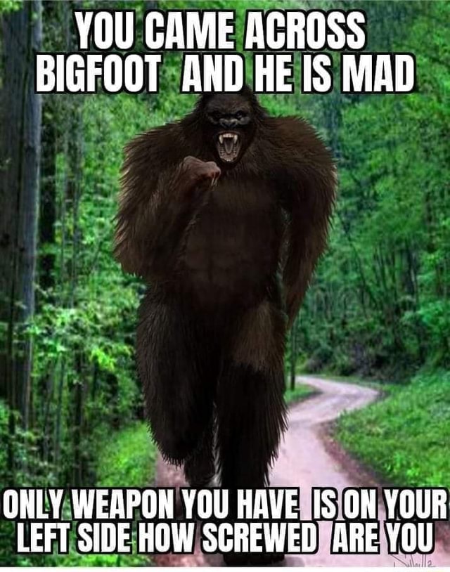 YOU CAME ACROSS BIGFOOT AND HE IS MAD ONLY WEAPON YOU HAVE ON YOUR LEFT ...