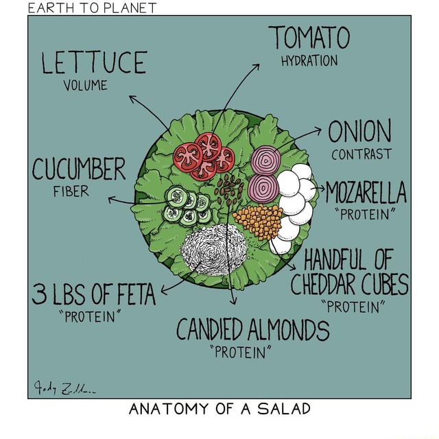 ANATOMY OF A SALAD EARTH TO PLANET - iFunny