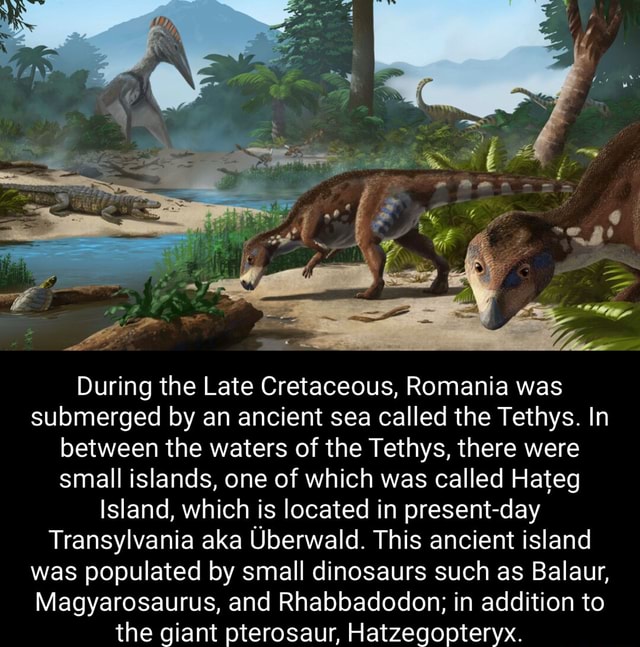 During the Late Cretaceous, Romania was submerged by an ancient sea ...