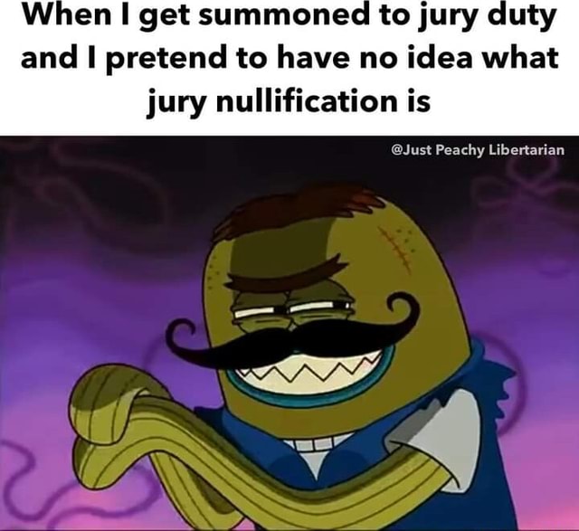 when-i-get-summoned-to-jury-duty-and-ii-pretend-to-have-no-idea-what