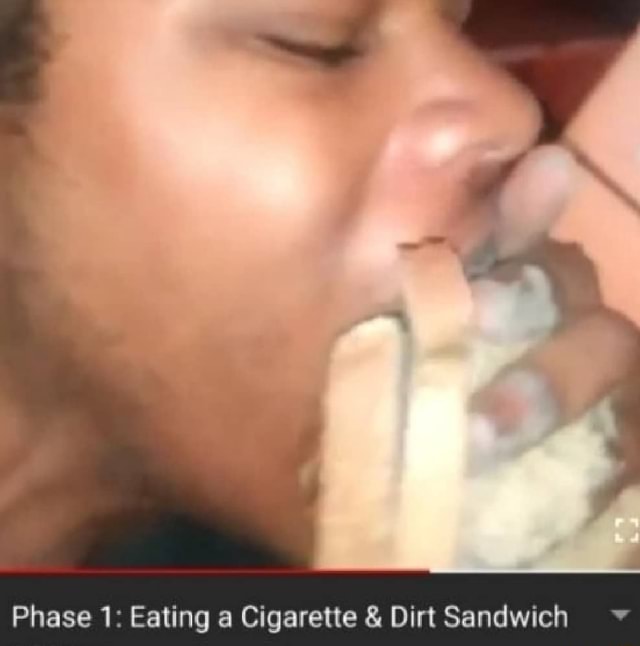 cigarette sandwich meme Weird AI-generated porcupine with avocado and dirt Ever wondered why you can't
