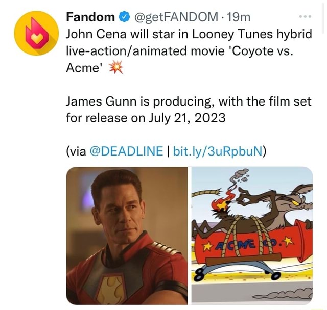 John Cena Will Star In Looney Tunes Hybrid Movie Coyote Vs Acme