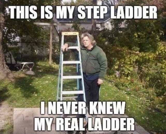 THIS IS MY STEP LADDER NEVER KNEW MY REAL LADDER iFunny