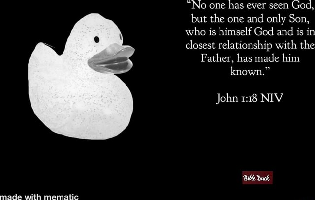"No one has ever seen God, but the one and only Son, who is himself God ...