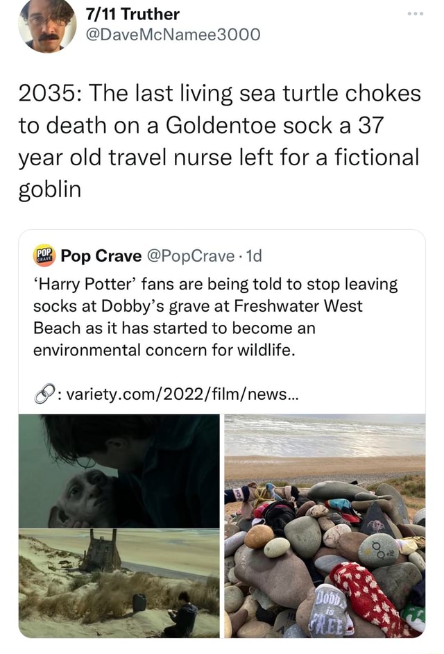 Truther DaveMcNamee3000 2035 The last living sea turtle chokes to