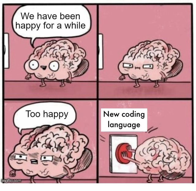 We have been happy for a while New coding language - iFunny