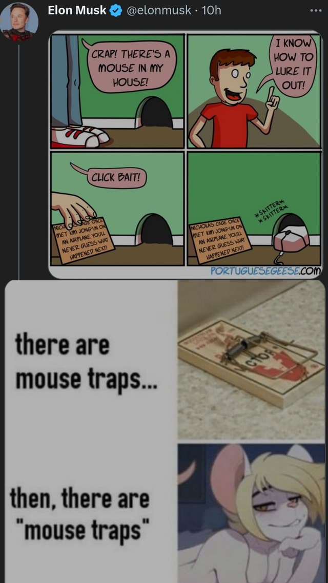 Elon Musk elonmusk CRAP THERE S A MOUSE IN MY HOUSE There Are Mouse