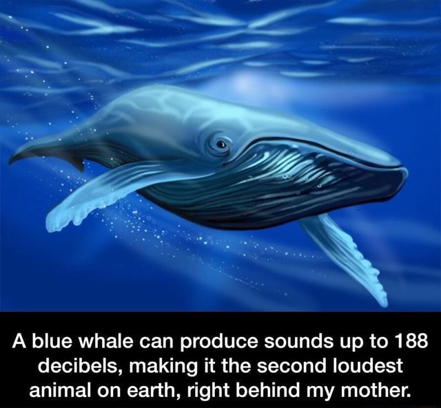 LOL!!! :) A blue whale can produce sounds up to 188 decibels, making it