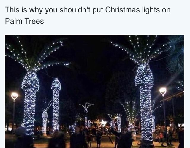 this-is-why-you-shouldn-t-put-christmas-lights-on-palm-trees-ifunny