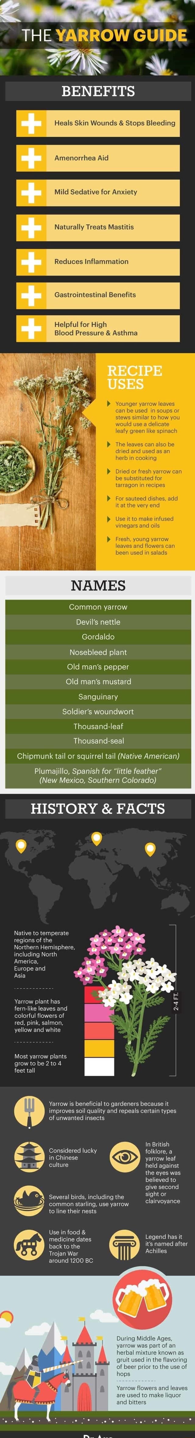 THE YARROW GUIDE BENEFITS Heals Skin Wounds & Stops Bleeding Amenorrhea