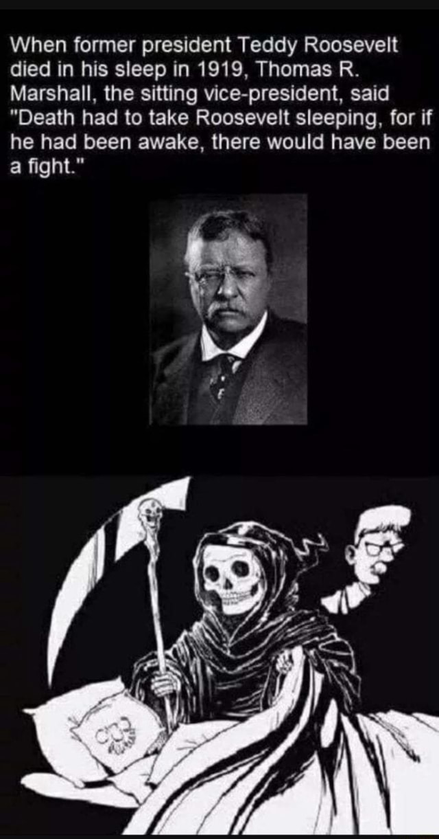 When former president Teddy Roosevelt died in his sleep in 1919, Thomas ...