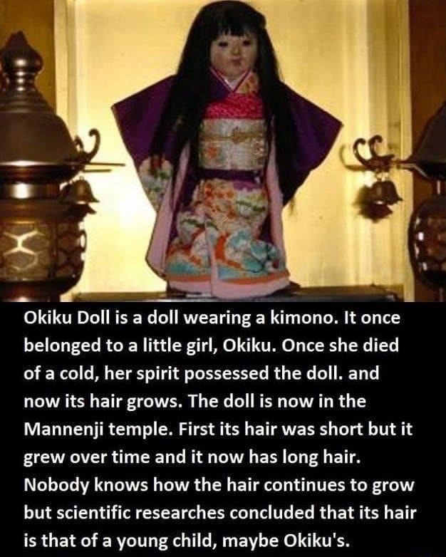 Okiku Doll is a doll wearing a kimono. It once belonged to a little