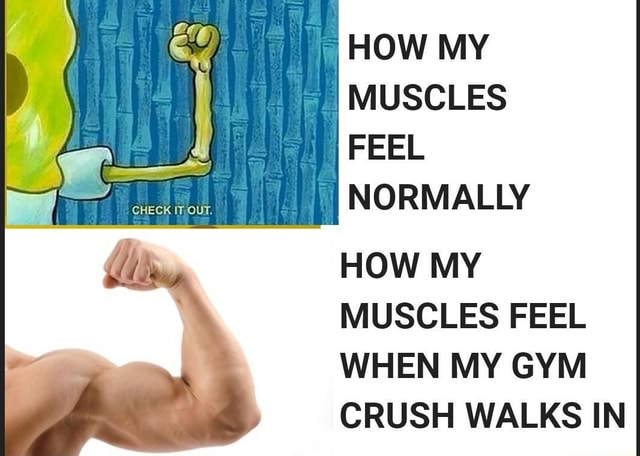 how-my-muscles-feel-normally-how-my-muscles-feel-when-my-gym-crush