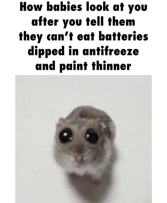 How babies look at you after you tell them they can't eat batteries