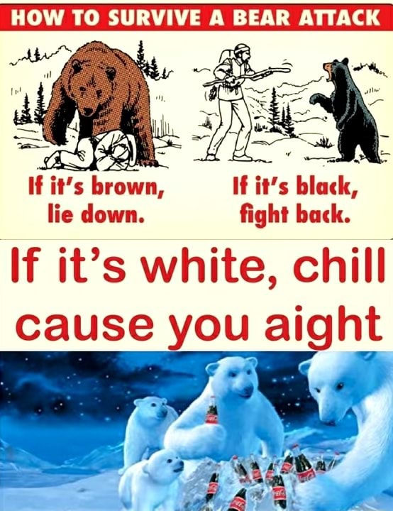 HOW TO SURVIVE A BEAR ATTACK If it's brown, If it's black, lie down. fight back. If it's white
