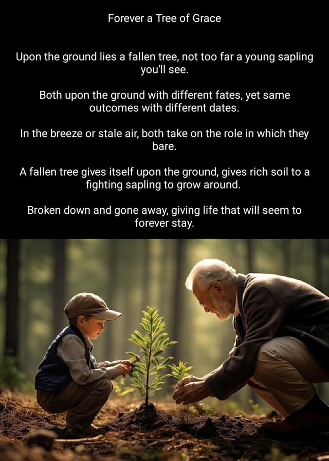 Forever a Tree of Grace Upon the ground lies a fallen tree, not too far ...