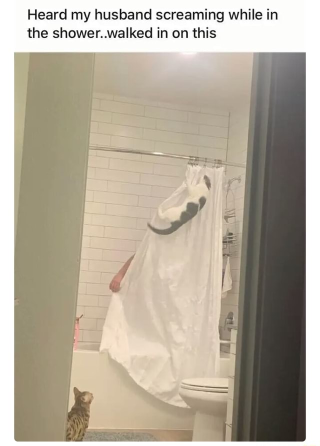 Heard my husband screaming while in the shower..walked in on this - iFunny