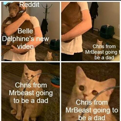 Chis from MrBeast going be a dad. Belle Delphine's Chris from Mrbeast ...