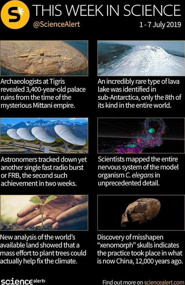 THIS WEEK IN SCIENCE ScienceAlert Archaeologists at Tigris revealed 3,400yearold palace ruins