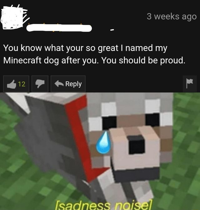 You know what your so great I named my Minecraft dog after you. You