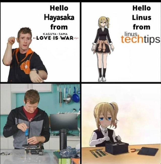Hello Linus from linus techtips Hello Hayasaka from KAGUYA- SAMA -LOVE ...