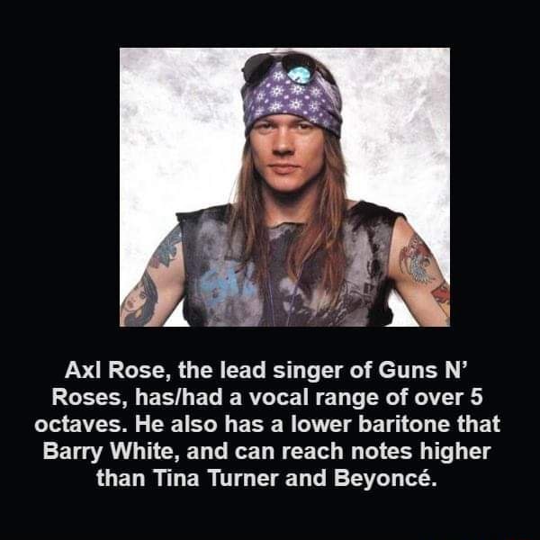 Axl Rose, the lead singer of Guns N