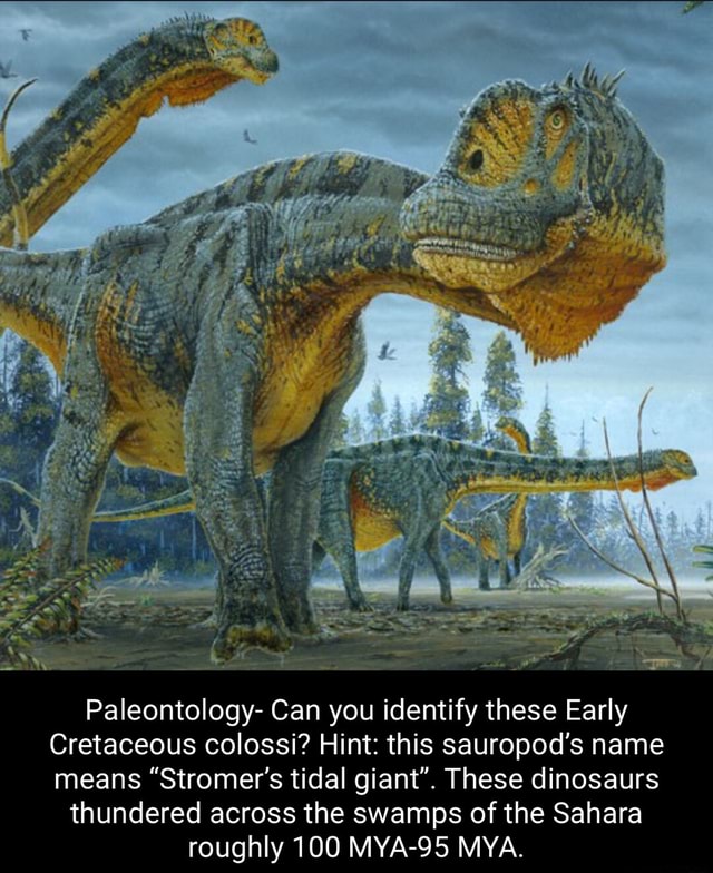 Ff Paleontology- Can you identify these Early Cretaceous colossi? Hint ...