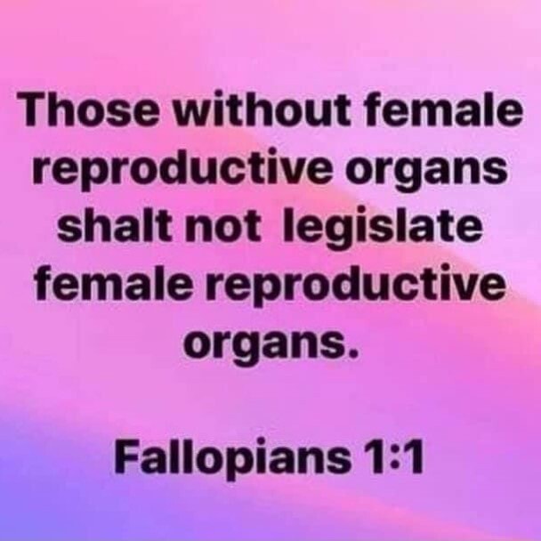 Those without female reproductive organs shalt not legislate female ...