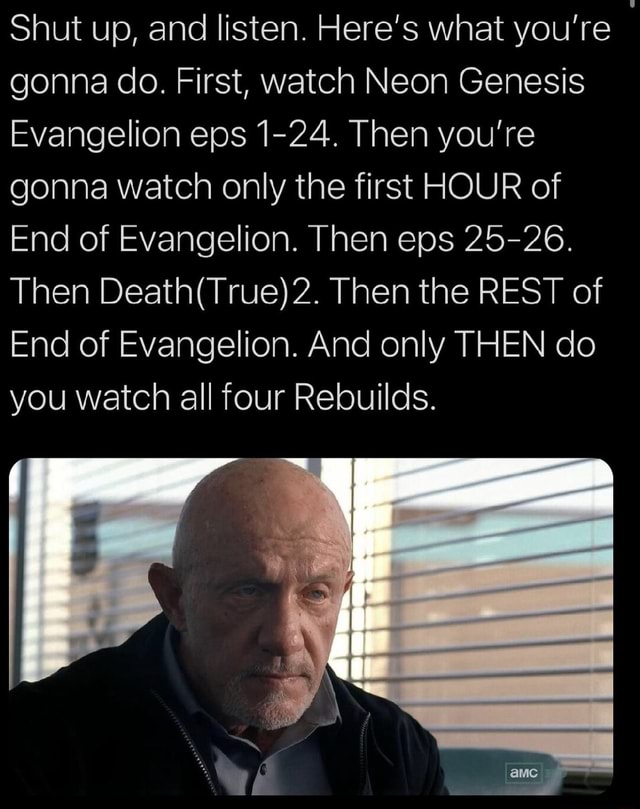 How To Watch Neon Genesis Evangelion In Order