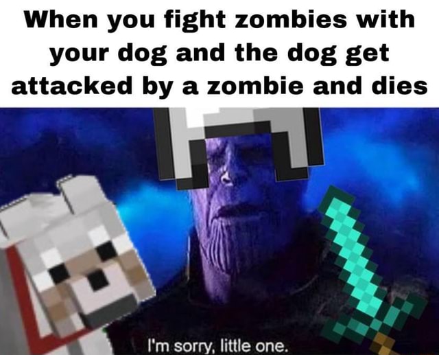 When you fight zombies with your dog and the dog get attacked by a
