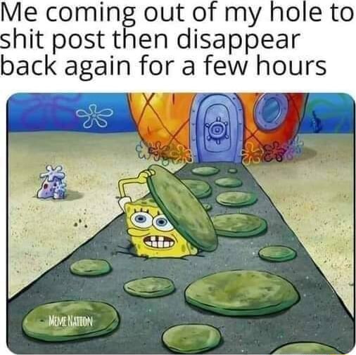 Me coming out of my hole to shit post then disappear back again for a ...