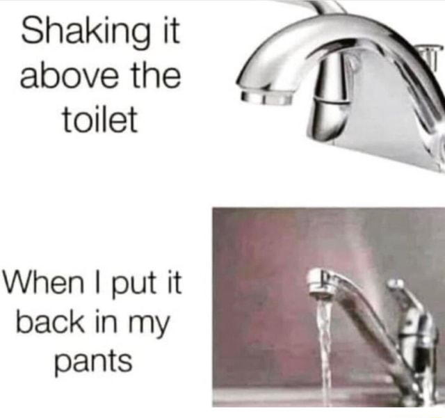 Shaking it above the toilet When I put it back in my pants iFunny