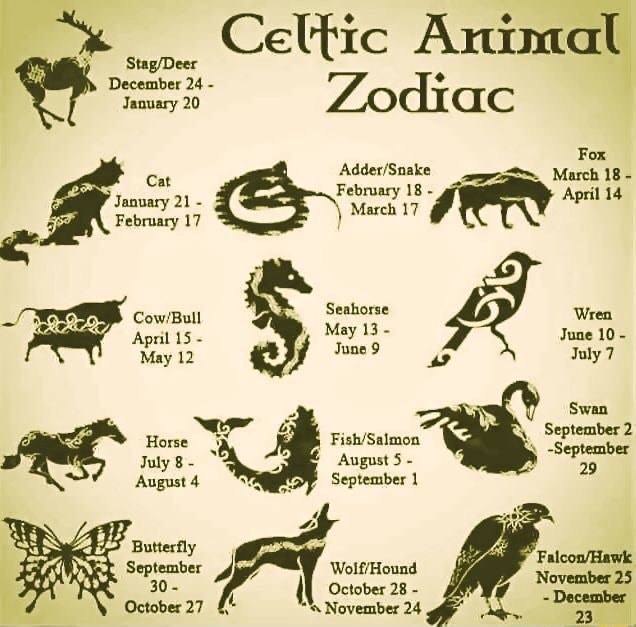 Celtic Animal December 24 - Zodiac For March 18 February 1 April 14 January  21 - February 17 Seahorse BY wr May 13 - June 10 - Tune 9 July 7 Swan April  15 Hone August 5 - September 1 ag Butterfly September 30 - October 27 -  
