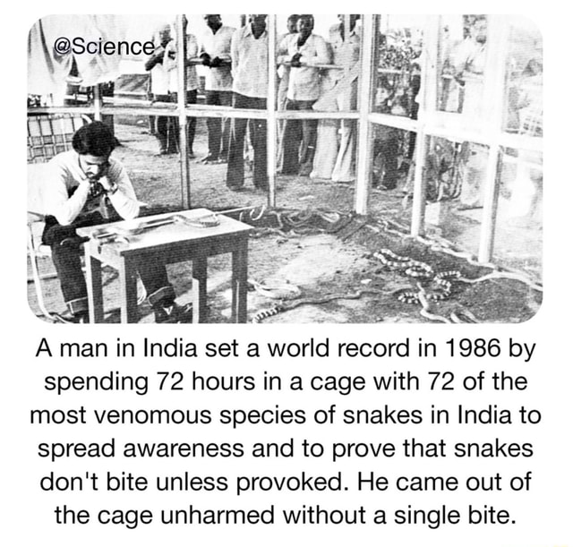 snake guy lonely planet india