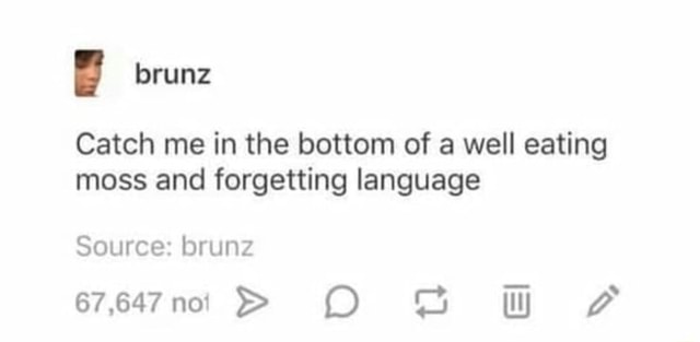 Catch me in the bottom of a well eating moss and forgetting language - iFunny