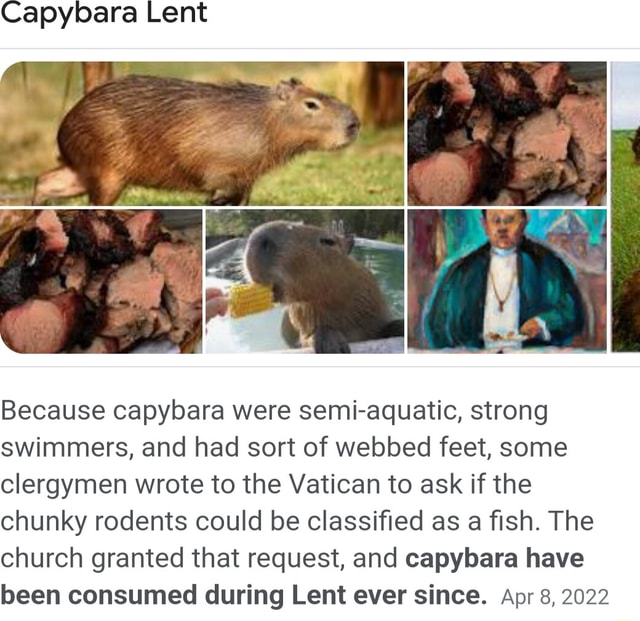 Capybara Lent Because capybara were semi-aquatic, strong swimmers, and