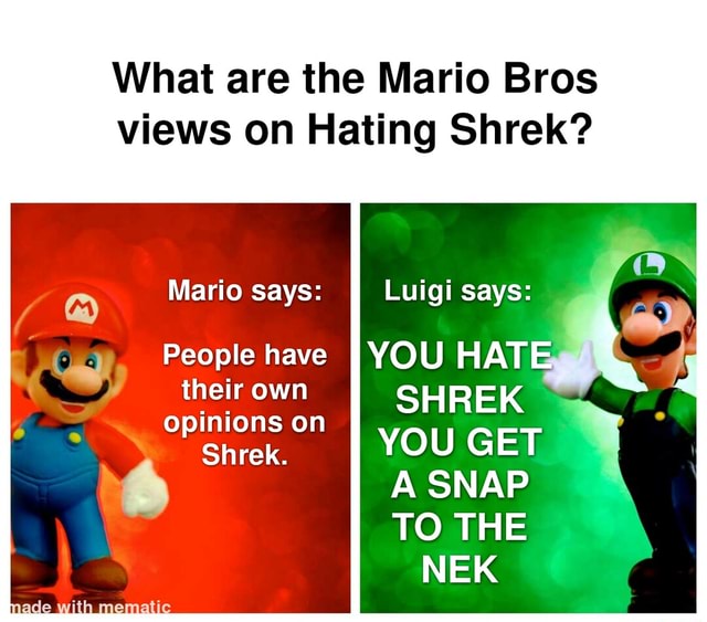 What are the Mario Bros views on Hating Shrek? Mario says: Luigi says ...