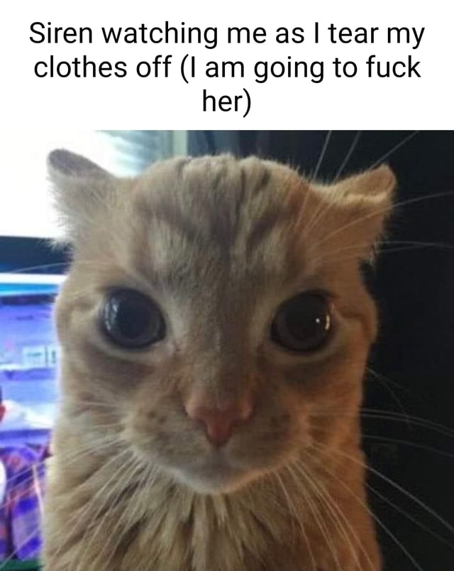 Siren Watching Me As I Tear My Clothes Off Am Going To Fuck Her Ifunny