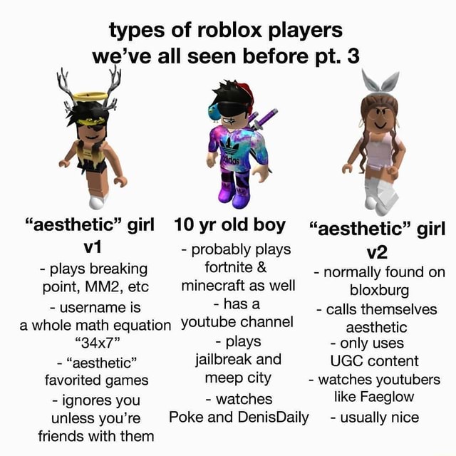 Types Of Roblox Players We Ve All Seen Before Pt 3 Aesthetic Girl 10 Yroldboy Gesthetic Girl Probably Plays Plays Breaking Fortnite Normally Found On Point Etc Minecraft As - denis youtube roblox name