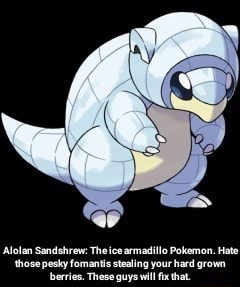 Alolan Sandshrew The Ice Armadillo Pokemon Hate Those Pesky Fomantis Stealing Your Hard Grown Berries These Guys Will Fix That