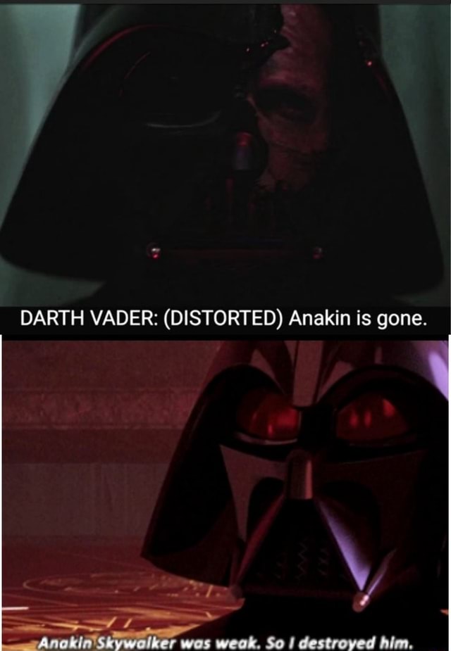 DARTH VADER: (DISTORTED) Anakin is gone. - )