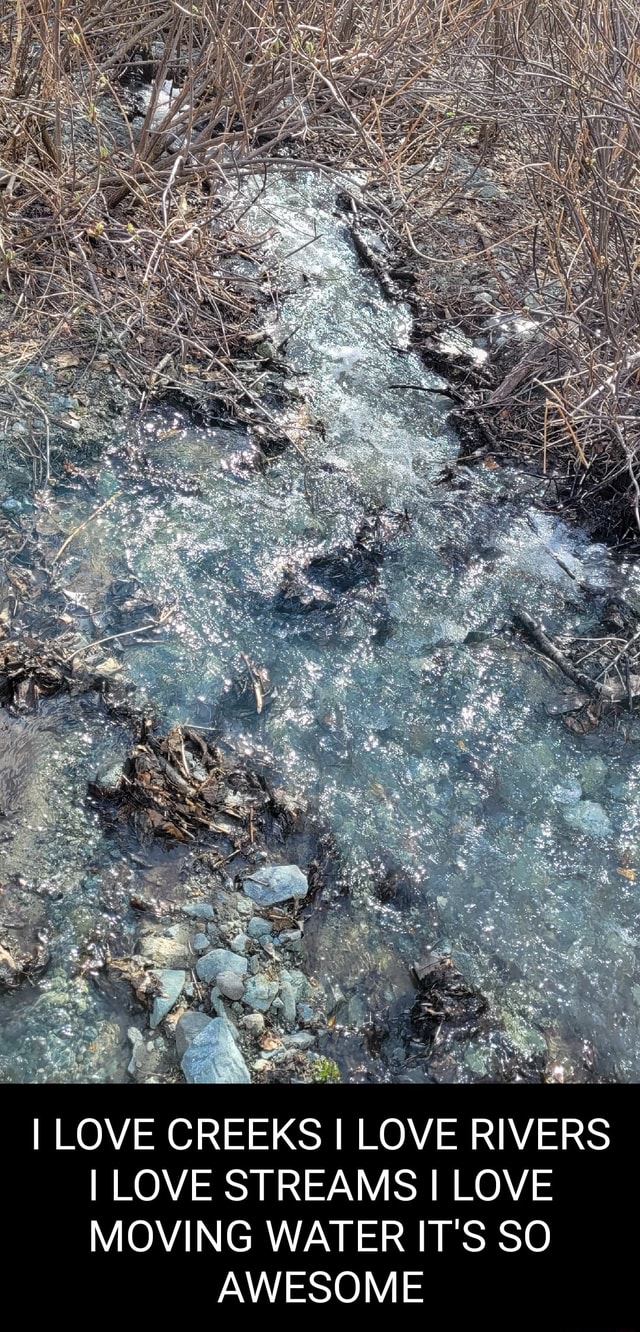 I LOVE CREEKS I LOVE RIVERS I LOVE STREAMS I LOVE MOVING WATER IT'S SO ...