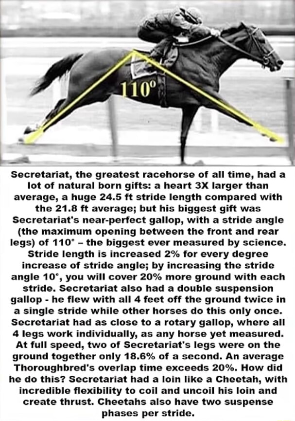 Secretariat, the greatest racehorse of all time, had lot of natural ...