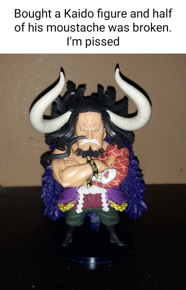 Bought a Kaido figure and half of his moustache was broken. I'm pissed ...