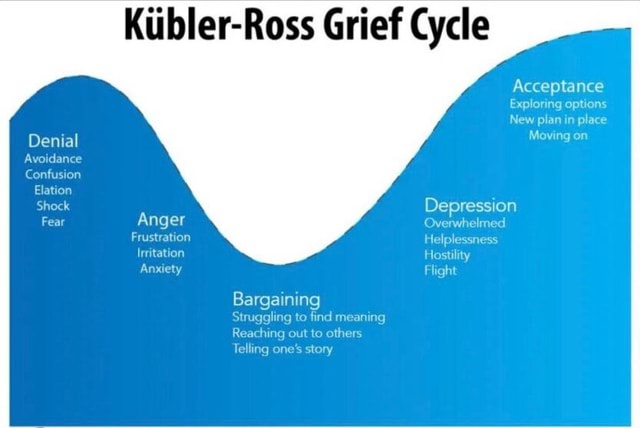 Denial Avoidance Confusion Elation Shock Fear Anger Frustration ...