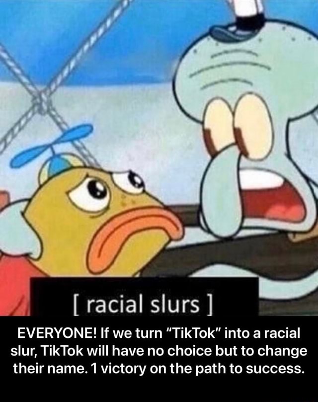 Racial slurs ] EVERYONE! If we turn "TikTok" into a racial ...