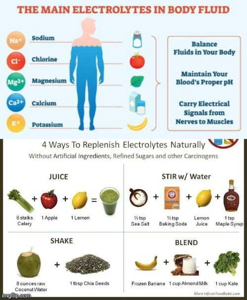 THE MAIN ELECTROLYTES IN BODY FLUID Balance Fluids in Your Body