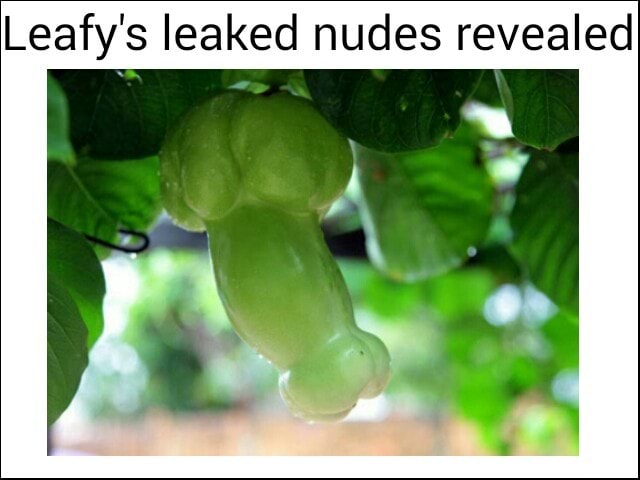 Nudes leafy 