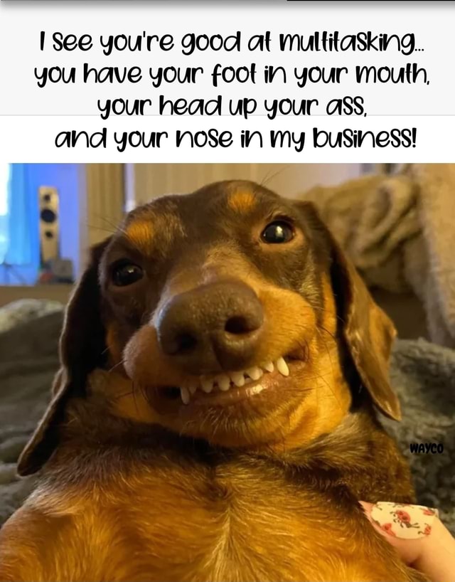 See you're good at multitasking. you have your foot in your mouth, your