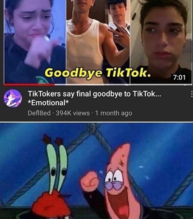 Goodbye Tiktok Tiktokers Say Final Goodbye To Tiktok Emotional Defl8ed 394k Views 1 Month 0837